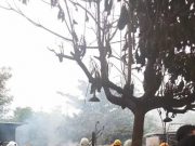 10 Kios Samping Pasar Ngaliyan Alami Kebakaran Kamis Sore