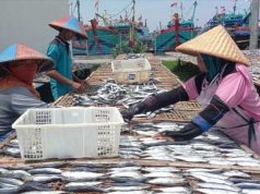 Blok J Pelabuhan Tegal Diambilalih Provinsi, Ini Jawaban Kepala P3 Tegalsari