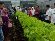 LPTP Surakarta Evaluasi Program Pengentasan Stunting dan Pengelolaan Kawasan Konservasi