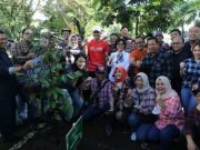 Pohon Kepel yang Digemari Putri-putri Keraton Kini Ada di Kampus UGM