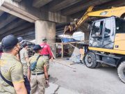 Lapak PKL Liar di Bawa ‘Fly Over’ Tanjung Emas Dibongkar Satpol PPp