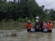 Sungai Lusi Meluap, Jalan Desa Kedungrejo Purwodadi Terendam