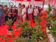 Ganjar Ingin Banyak Toko Indonesia di Luar Negeri Menyediakan Produk Rempah