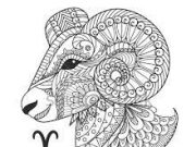 Zodiak Harian Aries 24 Desember 2022, Kamu Cocok Untuk Bekerja di Berbagai Banyak Bidang.