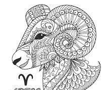 Zodiak Harian Aries 24 Desember 2022, Kamu Cocok Untuk Bekerja di Berbagai Banyak Bidang.