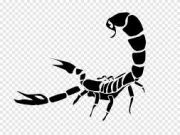 Zodiak Harian 29 Desember 2022 Scorpio, Ambil Semua Peluang