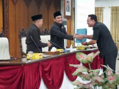 Pendapat Akhir Fraksi NasDem soal Penyertaan Modal: Minta Direalisasikan Setelah Rekomendasi Auditor Dijalankan