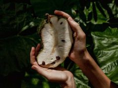 Dapat Menghilangkan Stres, Lima Manfaat Buah Sirsak yang Baik Bagi Kesehatan
