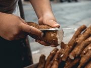 Tinggi Karbohidrat, Simak Enam Manfaat Mengonsumsi Singkong
