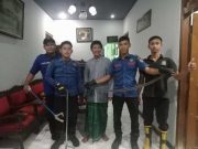 Petugas Damkar Grobogan Menangkap Ular Kobra 1,5 Meter di Rumah Warga