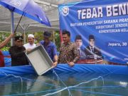 Kandungan Protein Lele Tinggi, Pj. Bupati Jepara Dorong Makanan Siap Saji
