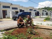 PT BTN Cabang Kudus Hijaukan Perumahan Marison Regency Jepara
