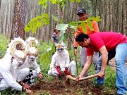 Unik, Penghijauan di Hutan Lawu Selatan Melibatkan Kethek Ogleng