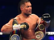 Tunggu Pemenang Usyk Versus Fury