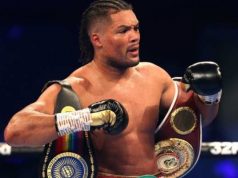 Tunggu Pemenang Usyk Versus Fury