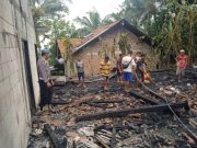 Ditinggal Cari Rumput, Rumah Warga Rowokele Ludes Terbakar