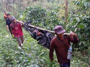 Ditemukan Mayat Tanpa Identitas di Tengah Hutan Salak Tanjung, Ini Ciri-cirinya