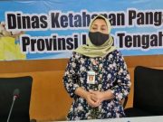 Krisis Pangan Mengancam, Siap-siap Makan Beras Jagung