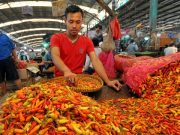 Harga Cabe Rawit Merah di Wonosobo Melambung Tinggi