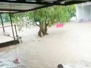 Diguyur Hujan Deras 1 Jam Lebih Kota Semarang Kembali Waspada Potensi Dikepung Banjir