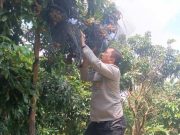Kebun Buah Tunjungan Sebuah Ketahanan Pangan dan Potensi Agrowisata di Blora