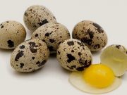 Telur Unggas Memiliki Banyak Manfaat untuk Kesehatan, Apa Saja Macamnya?