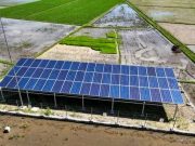 Petani di Purworejo Butuh 10 Liter Solar untuk Pengairan Sekali Masa Tanam