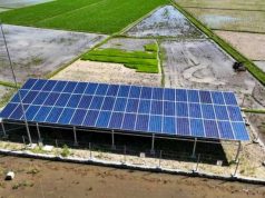 Petani di Purworejo Butuh 10 Liter Solar untuk Pengairan Sekali Masa Tanam