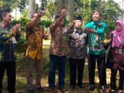 Arboretum Kalianget, Bupati Wonosobo : “Jadi Wahana Eduwisata yang Menarik!”