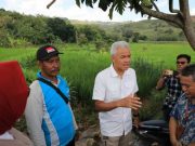 Kawasan Pegunungan Kendeng yang Gundul Bikin Prihatin