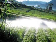 Aktifitas Terakhir Kawah Timbang Tahun 2011, Kini Alami Peningkatan Lagi