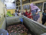 Wujudkan Ketahanan Pangan, Ita Ajarkan Urban Farming kepada Anak-anak