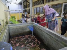 Wujudkan Ketahanan Pangan, Ita Ajarkan Urban Farming kepada Anak-anak