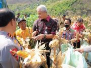 Kawasan Hutan Kendeng Tak Ada Tumbuhan Keras