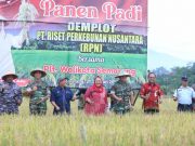 Gandeng Lembaga Riset, Pemkot Semarang Tingkatkan Hasil Panen Padi