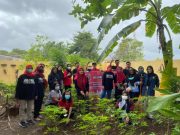 Mahasiswa KKN USM Sukseskan Urban Farming di Kelurahan Tawangmas