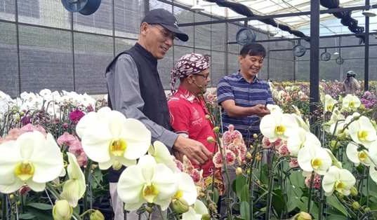 Untidar Magelang Gandeng Alumni Kembangkan Kebun Anggrek di Temanggung Untidar Magelang