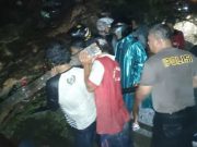 Di Tarub Tegal, Pohon Tumbang Menimpa Truk dan Sepeda Motor