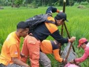 Buaya Akar Seribu Kembali Lepas