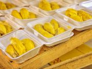 Tips Mengonsumsi Buah Durian Bagi Ibu Hamil
