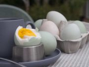 Ini 10 Manfaat Telur Asin bagi Kesehatan Tubuh