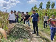 Sesosok Mayat Laki-Laki Ditemukan di Hutan Ngragem Kradenan