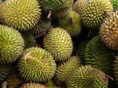 Dapat Mencegah Penuaan Dini, Simak 9 Manfaat Buah Durian bagi Kesehatan