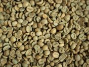 Dapat Menurunkan Gula Darah, Lima Manfaat Kopi Hijau