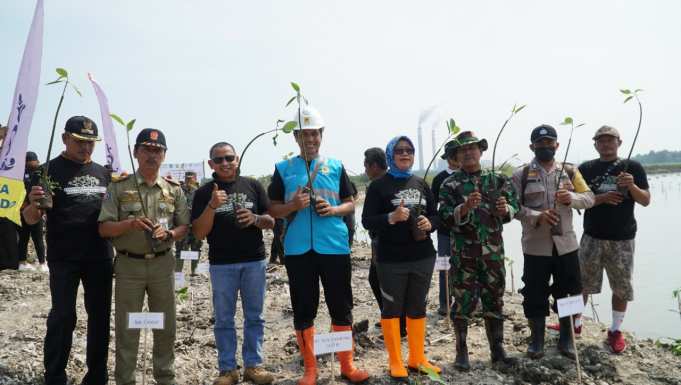 Konservasi Pesisir Pantai Di Jepara Yang Terkena Abrasi Pln Tanam Batang Mangrove