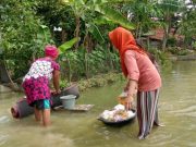 Banjir Grobogan Mulai Surut, Sebuah Roboh Roboh