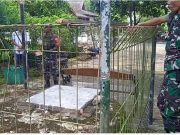 Lepas Pengawasan dari Orantuanya, Anak Tercebur ke Sumur di Candi Borobudur Sumur di Candi Borobudur