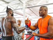 Si Pemangsa Tertarik Lawan Wilder