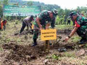 Kodim 0728 Wonogiri Menghijaukan Sendangijo dengan Tanaman Produktif