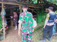 Ternak Sapi di Jatisrono Wonogiri Divaksin dan Diberi Tanda